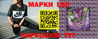 spice Кунгур