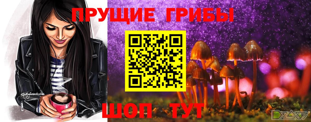 Псилоцибиновые грибы Magic Shrooms  Псилоцибиновые грибы прущие грибы  Кашира  Вход с VPN 